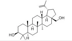 Chiết xuất vỏ cây bạch tuộc tự nhiên Betulin 0